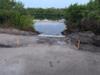 View Full Size Image